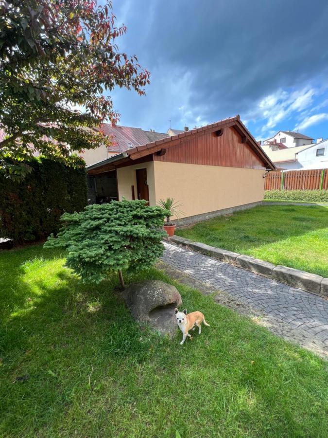 Apartmany U Vodniho Hradu Чеська Липа Екстер'єр фото